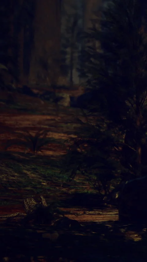 Majestic evening in the forest with shadows dancing among the trees Stock Footage 331696624