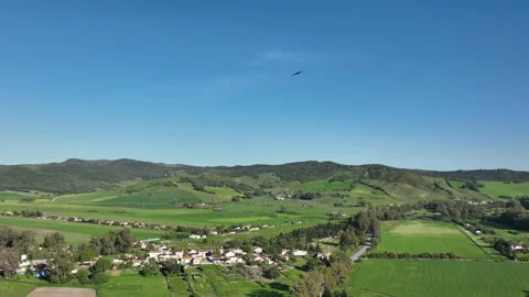 Majestic flight of booted eagle or Hieraaetus pennatus in slow-motion above Stock Footage 179469794