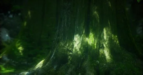 Majestic forest tree trunk with sunlight filtering through foliage 스톡 일러스트