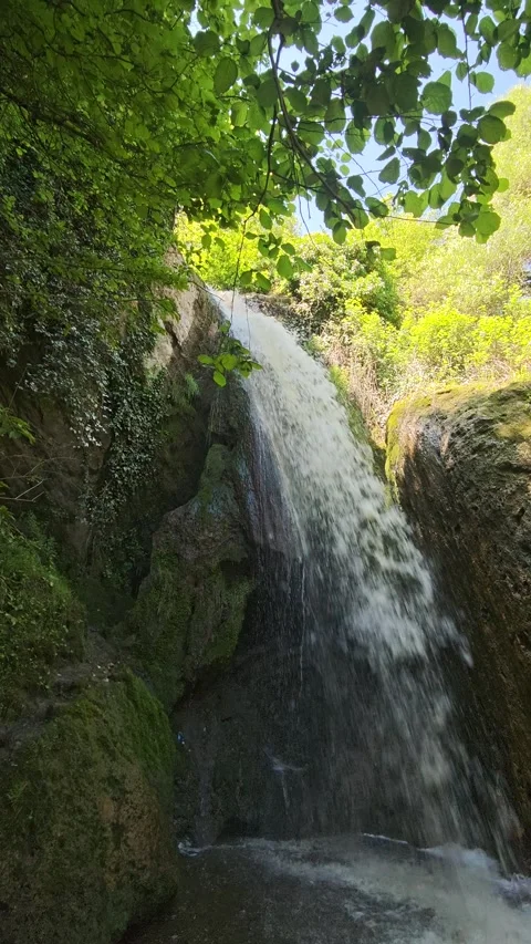 Majestic Forest Waterfall Cascading Down Mossy Cliffs Stock Footage 339494592