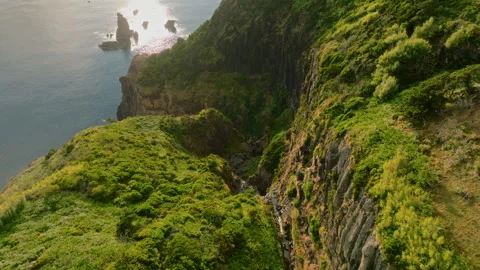 A Majestic Intersection of Vertical Basalt Cliffs and the Glimmering Sea, Where 库存影片 336262981