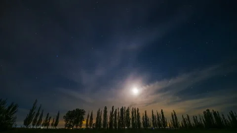 Majestic Moonlight and Moving Clouds over Forest Silhouette Time-lapse Stock Footage 337541571