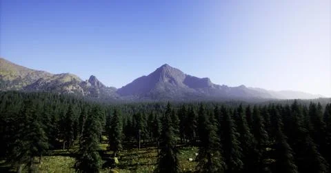 Majestic mountain range surrounded by dense forest during clear daytime Stock Illustration