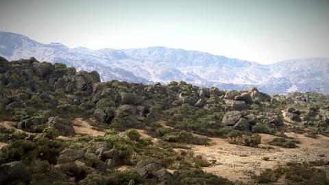 A majestic mountain range surrounded by lush trees and rugged rocks Stock Illustration