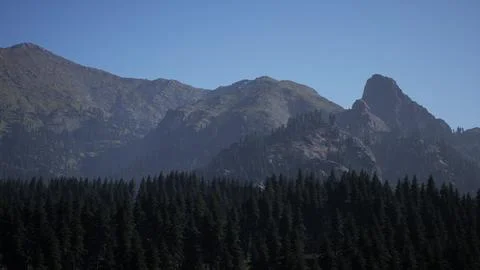 Majestic Mountain Range With Trees Under Blue Sky Stock Illustration