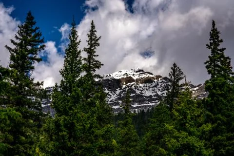 Majestic Mountain through the Trees Stock Photos