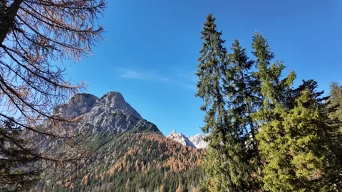 Majestic Mountain View with Pines Stock Footage 293044456