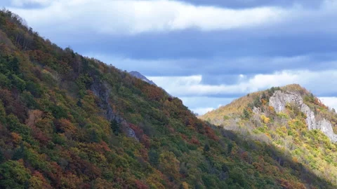 Majestic Mountain View With Trees Video stock 265840474