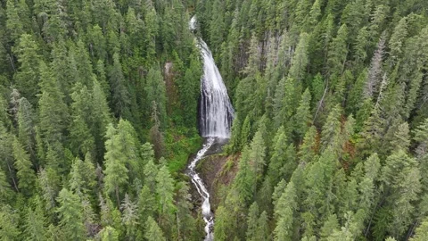 Majestic PNW Waterfall Stock Footage 278281653