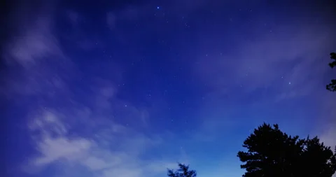 Majestic starry night sky with pine silhouette and ethereal drifting clouds Stock Footage 340488787