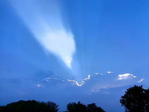 Majestic Sun Rays Piercing Through Deep Blue Sky with Tree Canopy Silhouette Foto stock