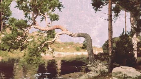 A majestic tree gracefully leaning over a serene body of water Ilustração Stock