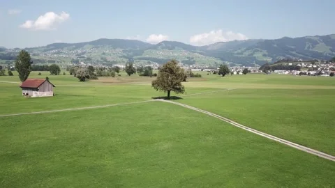 Majestic tree in an intersection in rural part of Switzerland, aerial orbit. Stock Footage 159355667