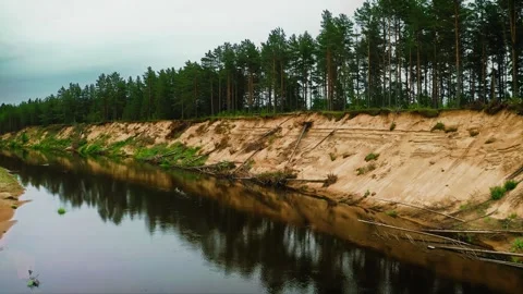 Majestic trees towering over the bluff. A cloudy sky. Meadow Muted Witness Stock Footage 257783041
