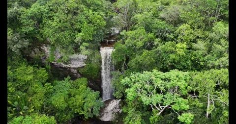 Majestic View of Waterfall Surrounded by Lush Greenery Video stock 336568310