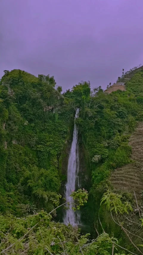 Majestic Waterfall Cascading Down Lush Green Tropical Cliffside Video stock 334486907