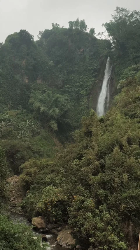 Majestic Waterfall Cascading Down Lush Green Cliff in Tropical Forest Video stock 334487474