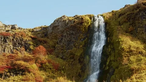 Majestic Waterfall Cascading Down Mossy Cliffs in Iceland Stock Footage 320508953