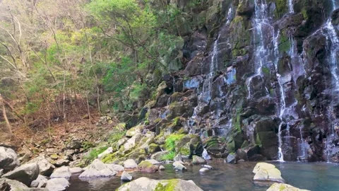 Majestic Waterfall Cascading Down Rocky Cliff in Lush Green Forest Stock Footage 336593207