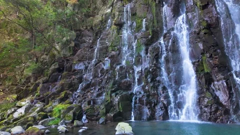 Majestic Waterfall Cascading Down Rocky Cliff in Lush Green Forest Stock Footage 336593224