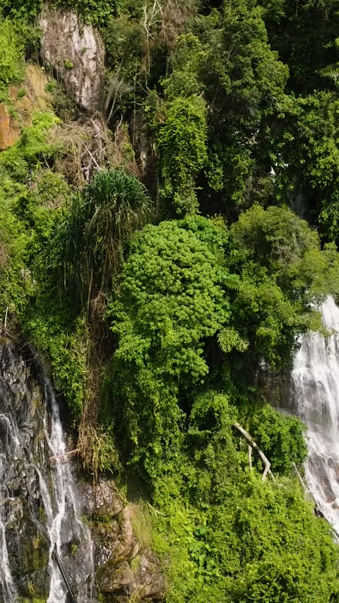 Majestic waterfall cascading through dense foliage. Ko Samui, Thailand. Stock Footage 327884740