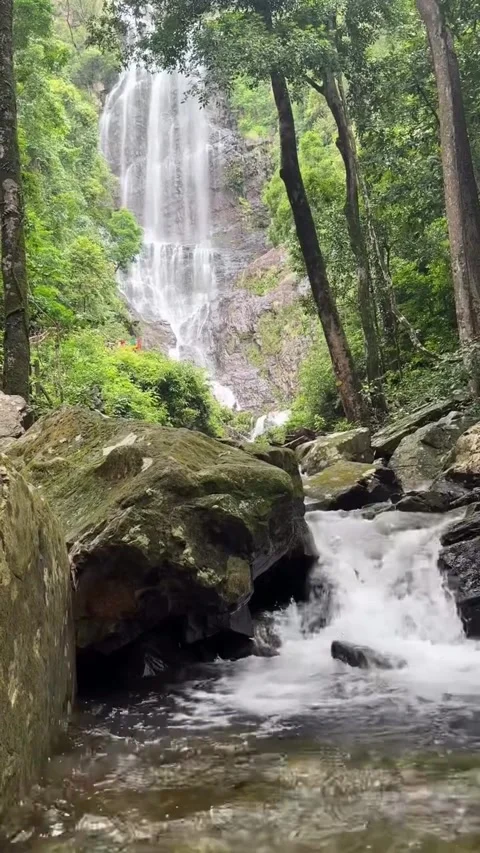 Majestic Waterfall Flowing Through a Dense Green Jungle Stock Footage 341318992