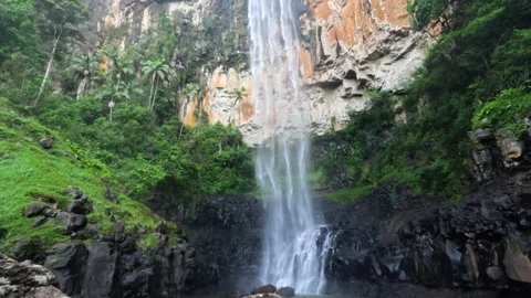 Majestic Waterfall in Springbrook Forest Vídeos de archivo 299779715