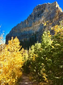 Majesty Stock Photos