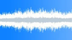Major Acoustic Stock Music