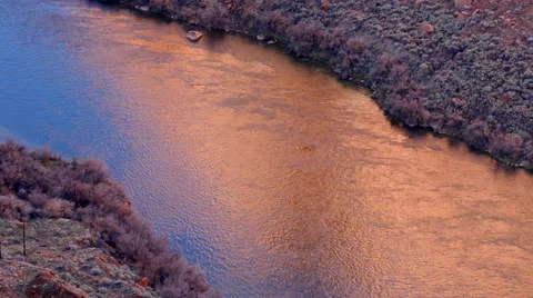 Major Artery Video stock 54709356