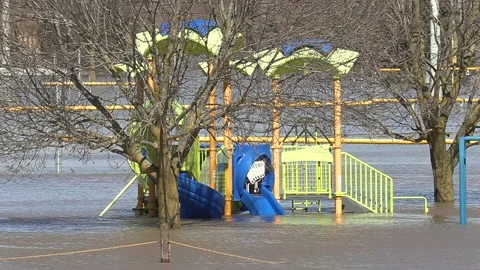 Major river flooding during record warm temperatures in Ontario Canada Stock Footage 150245021