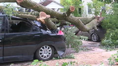 Major storm damage via microburst in severe thunderstorm in Orillia Ontario Stock Footage 41775195