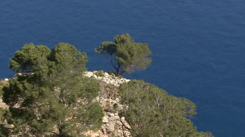 Majorca, Coast, Rock with Trees Stock Footage 24465075
