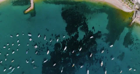 Majorca, Spain. Top down view of summer resort town Port de Soller on Mallorca Stock Footage 235569263