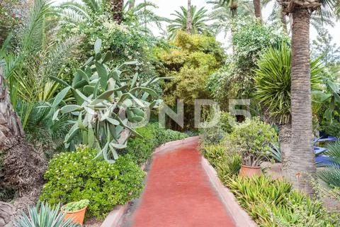 The Majorelle Garden Stock Photos