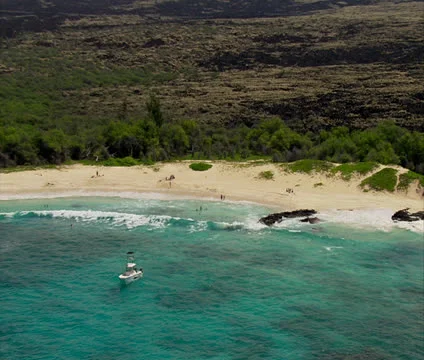 Makalawena Beach Video stock 22685716