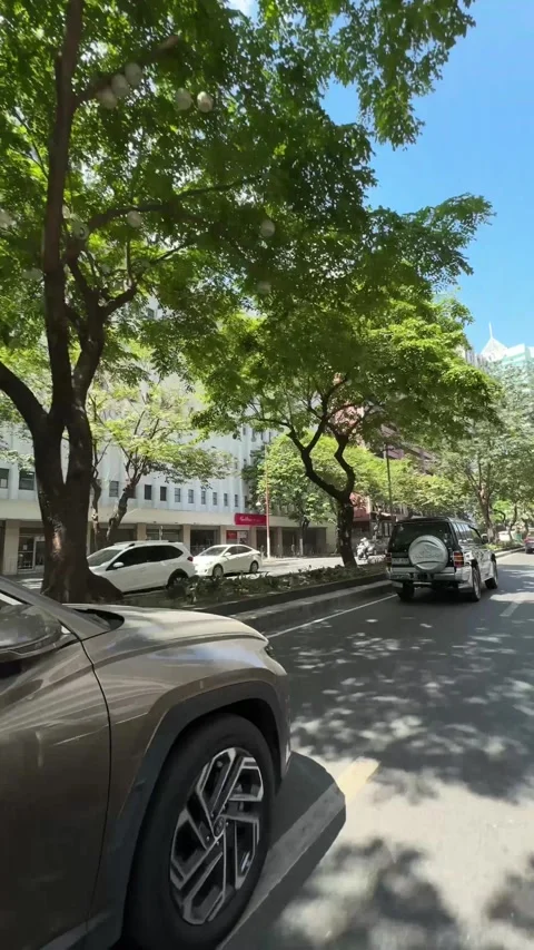 Makati Business District Tree Lined Avenue Vehicle POV Traffic 4K 60fps 스톡 동영상 338185639