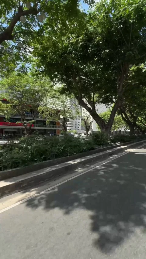 Makati Business District Tree Lined Street Pedestrian Crosswalk POV 4K 60fps 스톡 동영상 338185648