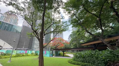 Makati CBD modern corporate district park with wind swaying green trees 4K Stock-Footage 337450784