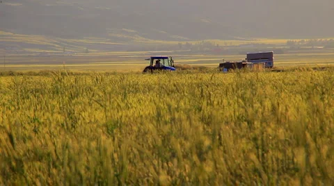 Make agriculture 1 Video stock 907699