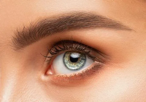The make-up artist does Long-lasting styling of the eyebrows  and will color  Stock Photos