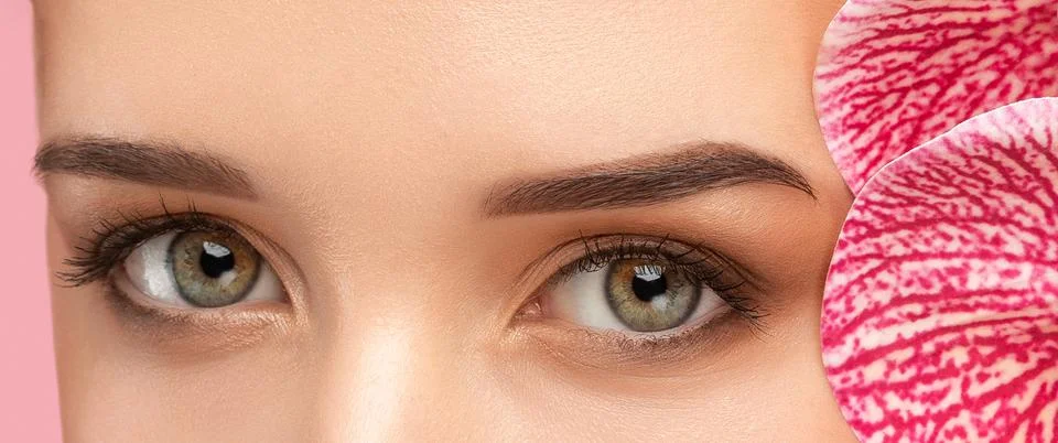 The make-up artist does Long-lasting styling of the eyebrows and will color.. Stock Photos