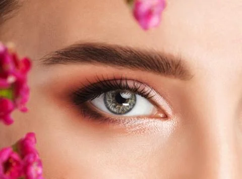 The make-up artist does Long-lasting styling of the eyebrows and makes the .. Stock Photos