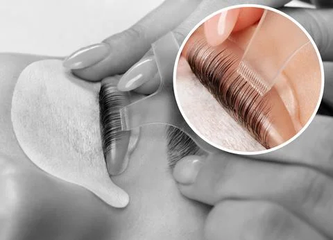 Make-up artist makes the procedure of lamination and dyeing of eyelashes to.. Stock Photos