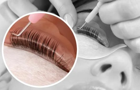 Make-up artist makes the procedure of lamination and dyeing of eyelashes to.. Stock Photos