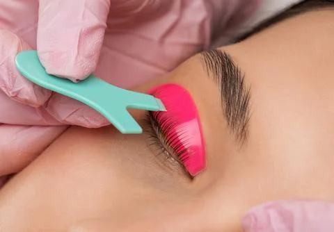 Make-up artist makes the procedure of lamination and dyeing of eyelashes Stock Photos
