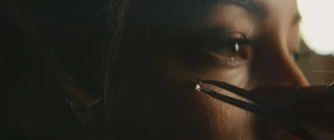 Make Up Artist With Model Stock Footage 319711122