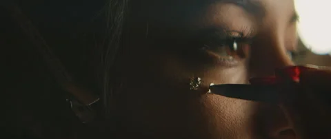 Make Up Artist With Model Stock Footage 319711127