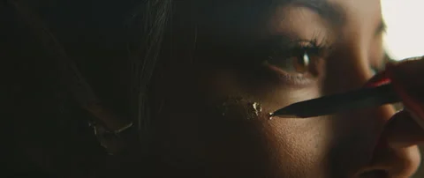 Make Up Artist With Model Stock Footage 319711149