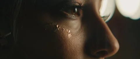 Make Up Artist With Model Stock Footage 319711181